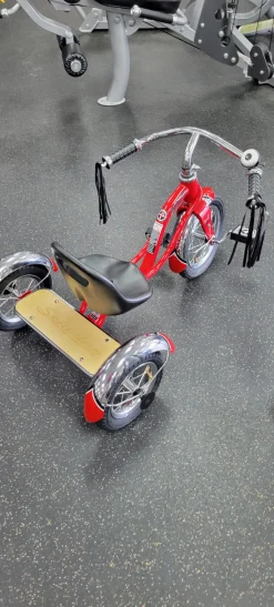 Schwinn NEW ROADSTER TRIKE Other Bike