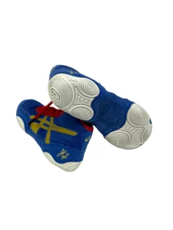 Used Asics JB Elite Jr 2.5 Wrestling Shoes