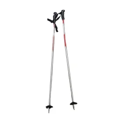 Used Axiom SKI POLES Mens DH Ski Pole None 115 cm / 46 in