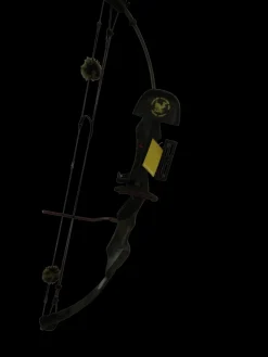 Used BOW Adult Bow