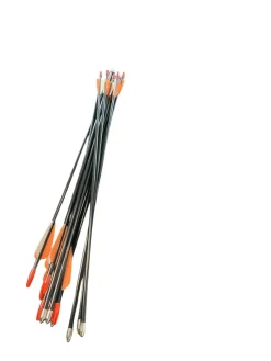 Used BULLET POINT ARROW SET OF 12 Adult Arrow