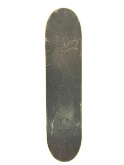 Used Burnside Skateboard Deck