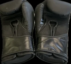 Used Everlast Boxing Gloves Black Senior