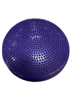 Used Exercise Accessory Other
