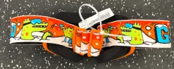 Used Giro REV Snow Goggles Youth Orange