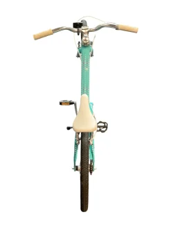 Used GUARDIAN Comfort Bike Girls None 20"