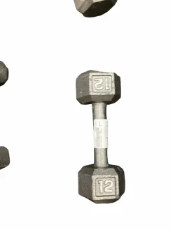 Used Hex Dumbbell (Each) 12 lb