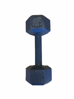 Used Hex Dumbbell (Each) 15 lb