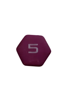 Used Hex Dumbbell (Each) Pink 5 lb