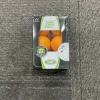 Used Indoor Games