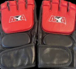 Used Martial Arts Gloves Red L/XL