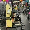 Used Nautilus GRAVITRON Power Tower