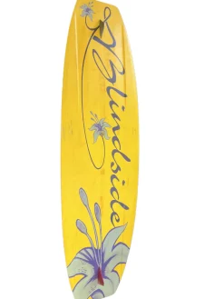 Used O'Brien DANA REED PRO MODEL Wakeboard Orange 137 cm