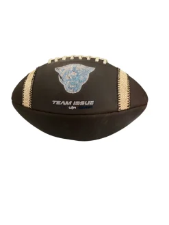 Used Official Football