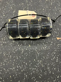 Used PULSE ROLLER SKATE Inline Wheels 62MM