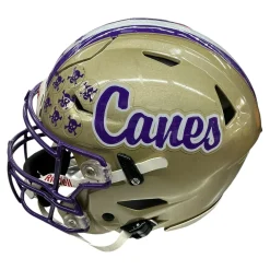 Used Riddell SPEEDFLEX FB Helmet Vegas Gold LG