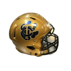 Used Riddell VICTOR FB Helmet Gold S/M
