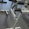 Used ROMAN CHAIR Roman Chair