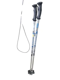 Used Rossignol SKI POLES Boys DH Ski Pole Silver 75 cm / 30 In