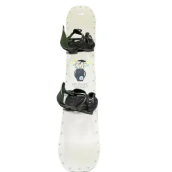 Used Salomon ABSTRACT 155 W/ARBOR SPRUCE BINDINGS Mens Board/Bindings Grey 155 cm