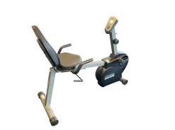 Used Schwinn 215P Recumbent Bike