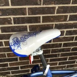 Used Schwinn RADIANT GIRLS 20IN BMX BIKE BMX Bike Girls Carolina Blue 20