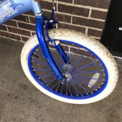 Used Schwinn RADIANT GIRLS 20IN BMX BIKE BMX Bike Girls Carolina Blue 20