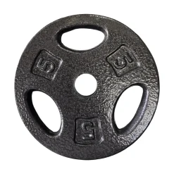 Used Standard Plate (Each) 5 lb