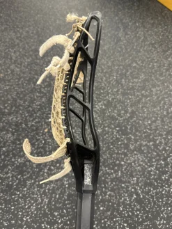 Used String King LEGEND INT Men Def/LSM Complete Stick Black