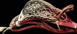 Used Warrior EVO 4 Mens Lacrosse Head Red