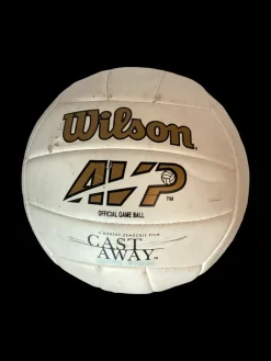 Used Wilson Outdoor VB White